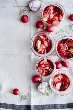 Pickles de radis roses et oignons rouges