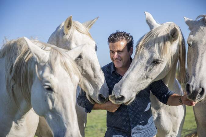 Vincent est dresseur de chevaux "en liberté" en Provence-Alpes Côte d'Azur. Il réalise également des spectacles équestres.