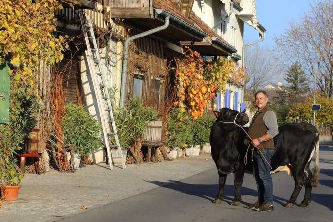 Jean-Daniel est vigneron et éleveur de vaches Hérens, en Suisse.