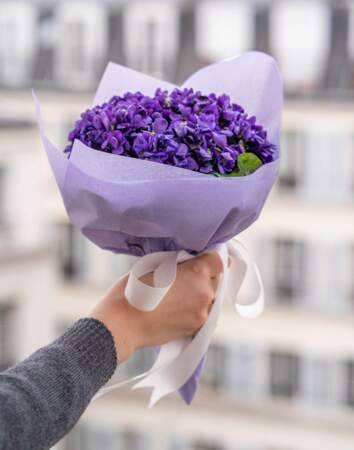 Bouquet de violettes - Fleurs d'ici
