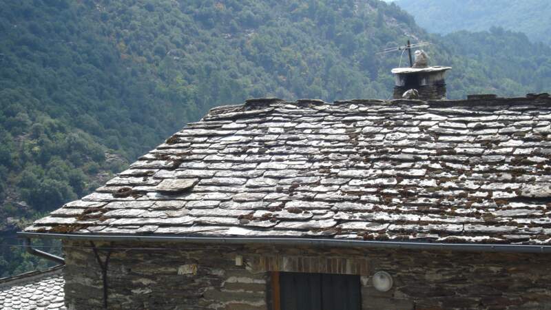 Les toits de lauze, typiques de Lozère
