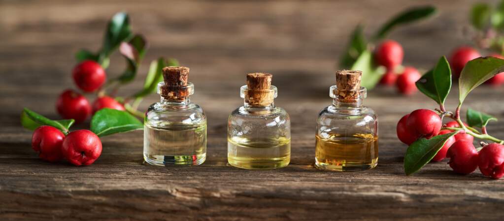 L'huile essentielle de gaulthérie odorante