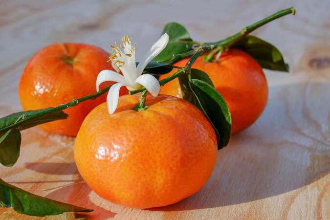 Les clémentines et mandarines