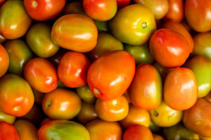 Comment faire mûrir rapidement des tomates vertes ?