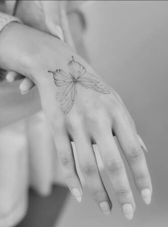 Un papillon sur la main