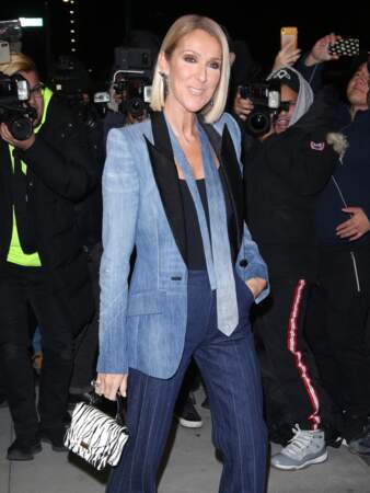 Céline Dion : 14 novembre 2019 à la sortie de son hôtel à New York.