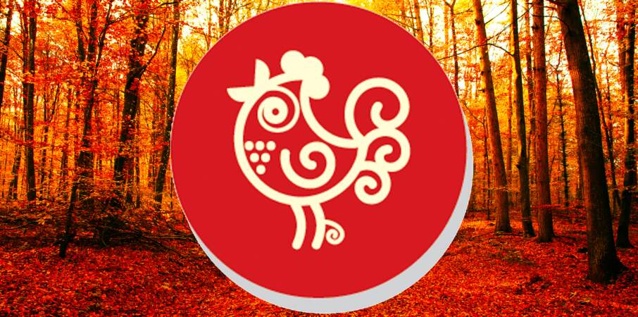 Horoscope chinois du mois de novembre 2022 pour le Coq : toutes nos prévisions