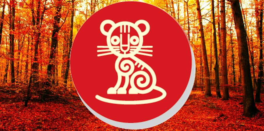 Horoscope chinois du mois de novembre 2022 pour le Tigre : toutes nos prévisions