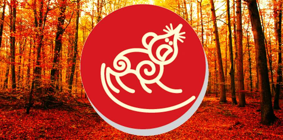 Horoscope chinois du mois de novembre 2022 pour le Rat : toutes nos prévisions