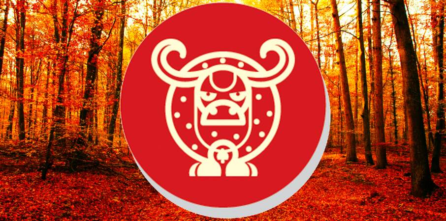 Horoscope chinois du mois de novembre 2022 pour le Buffle (ou Boeuf) : toutes nos prévisions