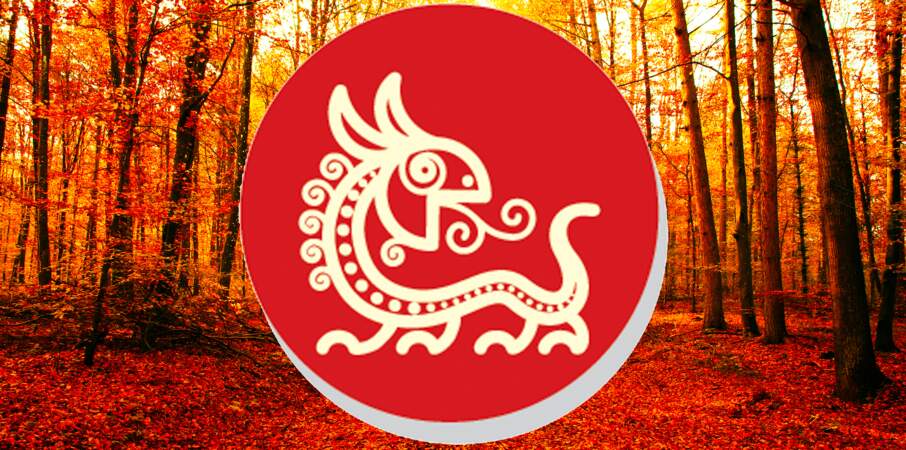 Horoscope chinois du mois de novembre 2022 pour le Dragon : toutes nos prévisions