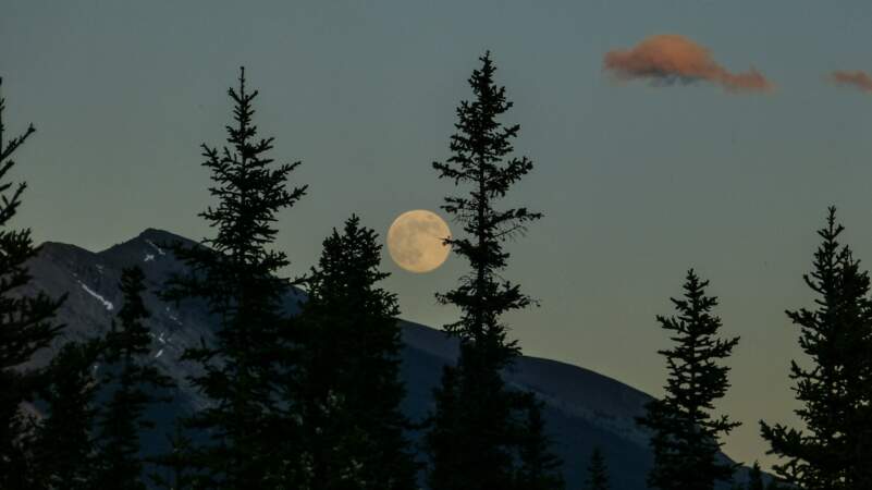 28 octobre 2023 : Pleine Lune en Taureau à 22 h 24