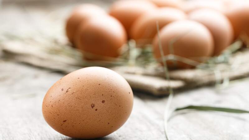 6. Les œufs