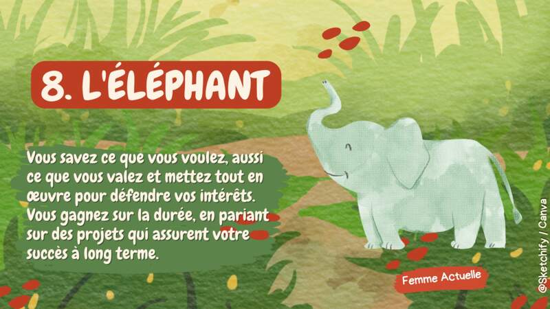 8-L'éléphant