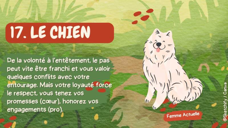 17-Le Chien