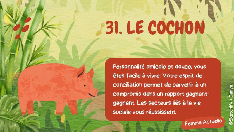 31-Le cochon