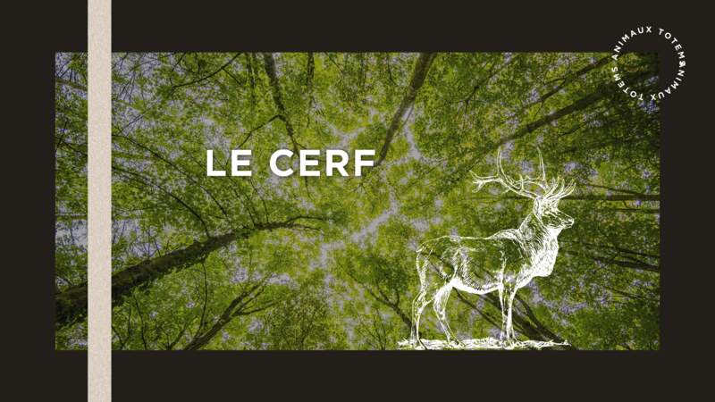 Le cerf comme animal totem