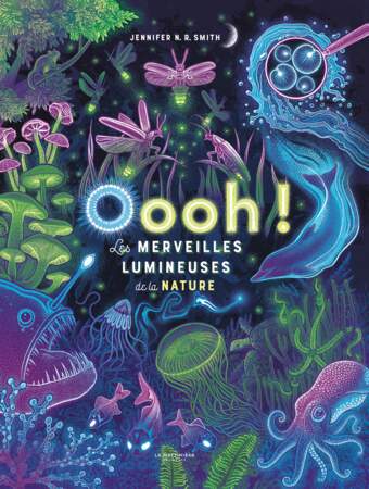 "Oooh ! Les merveilles lumineuses de la nature", de Jennifer N.R. Smith, éd. La Martinière Jeunesse, 40p., 21 €.