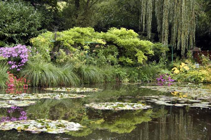 Les Jardins Claude Monet à Giverny (27) 