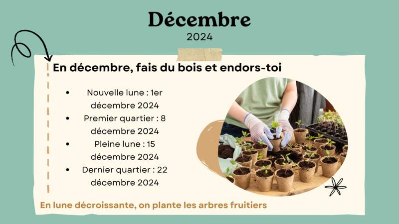 Jardiner avec la lune en décembre 2024