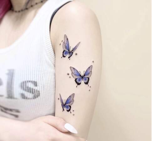 Papillons en bleu