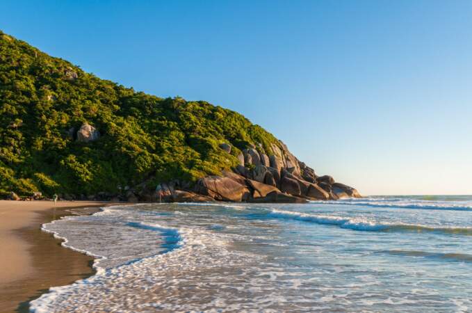 ... les plus chanceux se rendront ensuite au Brésil, pour découvrir la fameuse plage de Brava à Florianopolis...